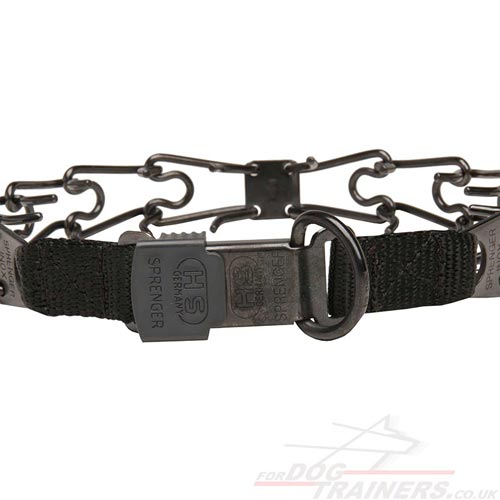 Black Steel Dog Collar